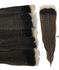 Natural Turkey Tail Feathers 12 Pack Long 8 To 10 Inches Bulk Feathers For Crafts DIY Wedding Decor Fly Tying