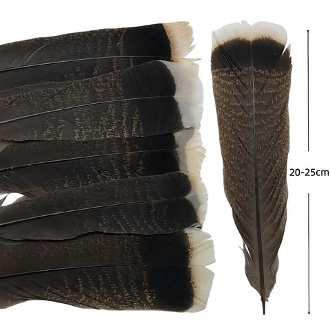 Natural Turkey Tail Feathers 12 Pack Long 8 To 10 Inches Bulk Feathers For Crafts DIY Wedding Decor Fly Tying
