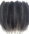 Natural Spotted Pheasant Feathers For Crafts And Jewelry Making, Guinea Fowl Wing Feathers 6-8 Inches, 50 Pack for dream catchers.