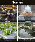 Scenes of 800GPH Submersible Water Pump For Ponds And Fountains Ultra Quiet 60W Pump with fish tank, fountain, hydroponic, and pond