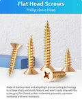 600 Piece Stainless Steel Wood Screws Kit With Zinc Plated Finish, Phillips Flat Head Self Tapping Screws displayed on surface