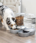Hassle Free Automatic Cat And Dog Gravity Food Feeder Dispenser With Easy Snap Top Lid Holds Eighteen Pound Kibble In Pearl Peacock Blue for busy multi pet homes with dog eating.