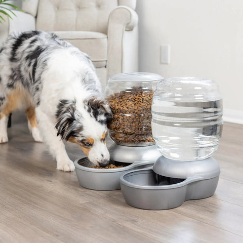 Hassle Free Automatic Cat And Dog Gravity Food Feeder Dispenser With Easy Snap Top Lid Holds Eighteen Pound Kibble In Pearl Peacock Blue for busy multi pet homes with dog eating.