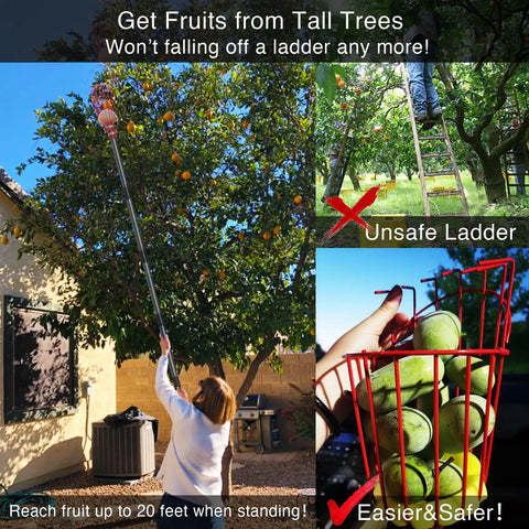 Telescoping Fruit Picker Pole With Basket Adjustable 35 To 120 Inch Handle For Apple Pear Orange Mango Avocado Lemon Cherry And More Tree Harvest No Bending No Climbing Easy Reach, 1-inch steel pole