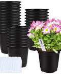 50 Pack 6 Inch Black Plastic Plant Nursery Pots With 50 Waterproof Labels seed starting starter pots with flowers and labels displayed