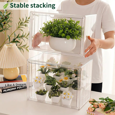 Clear Mini Indoor Greenhouse For Seed Starting And Propagation Easy To Use Tiny Tabletop Grow House With Magnetic Door Portable Seedling Starter Warmer For Home Gardening And Display