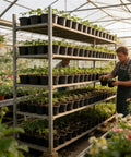 100 Piece Seedling Pots Set With 4 Inch Propagation Containers And Drainage Holes for indoor outdoor gardening in greenhouse