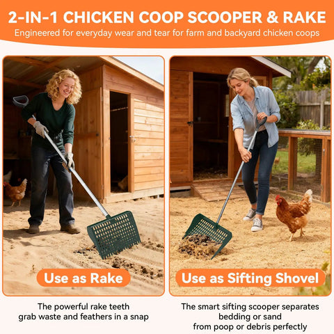 2-In-1 Chicken Coop Poop Scooper And Rake With 13-Inch Wider PP Head And Adjustable Stainless Steel Handle in use by two women
