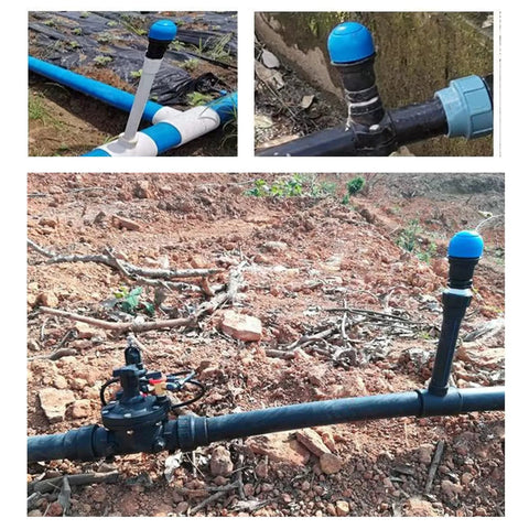 Air relief valve, 3/4 inch, installed on irrigation drip line with blue cap