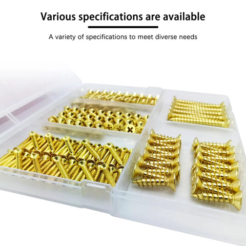 Hella Sturdy Brass Plated Wood Screw Assortment Kit Featuring Phillips Flat Heads And Drywall Compatible Self Tapping Design For Zero Sweat Indoor Outdoor Carpentry Build Out Projects 175 Piece Pack displayed in a divided organizer.