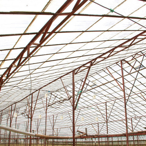 Greenhouse roof framework showing support beams and wires hanging from ceiling, suitable for 10 Pack Nylon Pulley Set applications.
