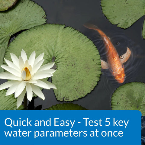 Ace Pond Water Test Strips Check PH Nitrites Nitrates And Hardness In Just Seconds Perfect For Backyard Koi Ponds And Garden Tanks with lily pads and goldfish.