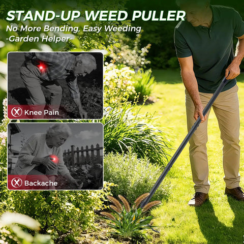 Stand Up Weed Puller Tool With A 46 Inch Adjustable All Metal Long Handle And A 4 Claw Steel Head For Root Removal No Bending Or Kneeling Heavy Duty Back And Knee Friendly Garden Weeder, man weeding lawn