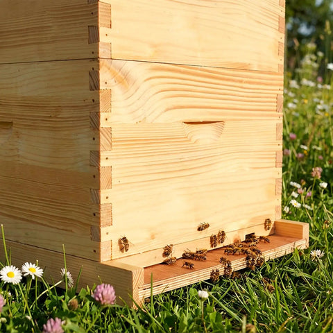 10 Frame Beehive Bottom Board With Entrance Reducer For Langstroth Hives Solid Pine Durable Beekeeping Base in garden