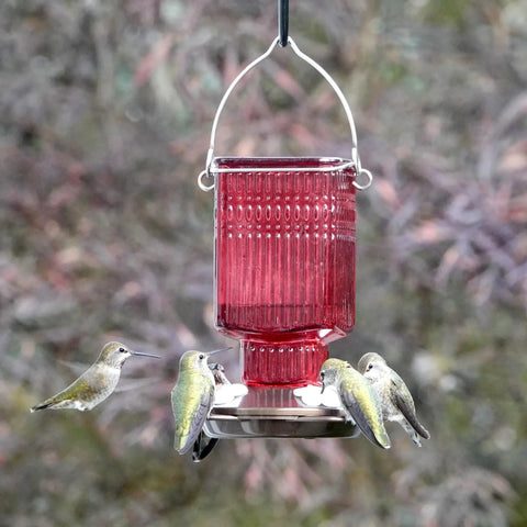 Antique Textured Glass Hummingbird Feeder Hanging For Outdoor Decor, 22 Ounce Nectar Capacity, Four Flexible Flower Ports