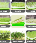 Soil Free Seed Sprouter Trays With Lids 5 Pack For Microgreens And Wheatgrass No Soil Growing Kit With Germinating Paper BPA Free
