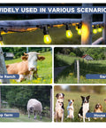 Dang Solid Heavy Duty Screw In Electric Fence Insulators 30 Pack With Timber Post Brackets shown in cattle ranch and sheep farm settings.