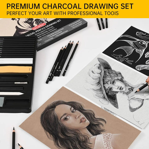 27 Piece Charcoal Drawing Set for Artists With Black and White Charcoal Pencils, White Charcoal, and Graphite Sticks in use