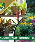 Indoor houseplants and outdoor garden showcasing uses for Four 1.25 Lb Coco Coir Bricks Expand To Nine Gallons.