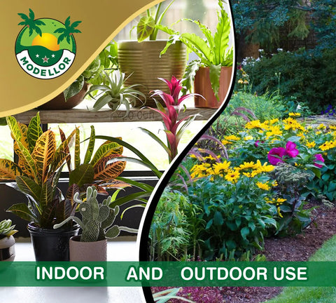 Indoor houseplants and outdoor garden showcasing uses for Four 1.25 Lb Coco Coir Bricks Expand To Nine Gallons.