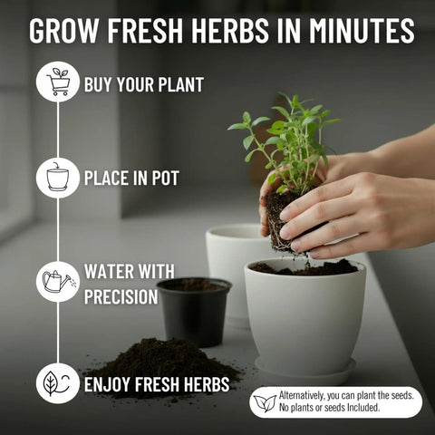 Hands planting herbs in white pot from Awesome Indoor Garden Kit With Drainage Pots Watering Can And Tools Ideal Windowsill Planter Set