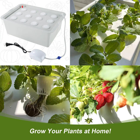 Indoor Hydroponic Grow Kit With 12 Hole Bucket Bubble Stone Air Pump And Sponges For Fast At Home Herb Garden Harvest