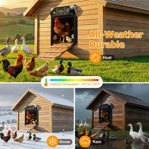 Hands-Free Solar Powered Automatic Chicken Coop Door With Large 9.45 X 10 Inch Opening on outdoor coops in various weather conditions