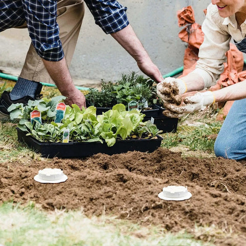 Outdoor Worm Farm Composter For Raised Beds And Yards Turns Kitchen Scraps Into Rich Organic Compost With Earthworms