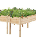 Two Piece Raised Garden Bed Set With Legged Planter Boxes, 48x24x30in Elevated Wooden Horticulture Beds For Backyard, Patio Or Balcony, Durable Fir Wood, Supports Up To 220.5 Lbs Soil, 15 Inch Soil Depth