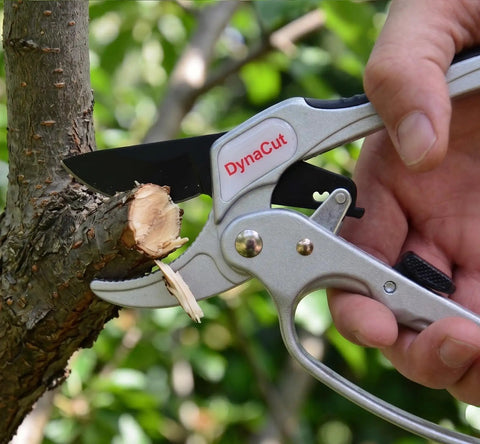 Ratcheting Pruning Shears 8 Inch Heavy Duty Garden Pruner With Anvil Cutter cutting a thick branch outdoors, close-up view.