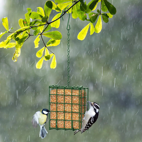 Outdoor Suet Bird Feeder Hanging Basket For Garden And Yard Attracts Woodpeckers Nuthatches And Songbirds With Easy Tree Trunk Mount