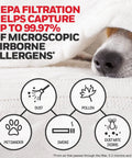 Infographic showing HEPA Air Purifier Replacement Filter Kit With 1 R Filter And 4 A Carbon Pre-Cut Filters capturing allergens.