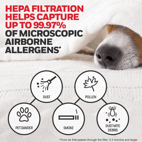 Infographic showing HEPA Air Purifier Replacement Filter Kit With 1 R Filter And 4 A Carbon Pre-Cut Filters capturing allergens.