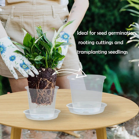Person holding plant over Clear 4 Inch Nursery Pots With Drainage And Saucers, 20 Pack Transparent Plant Pots For Seedlings And Starters