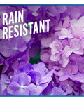 Purple flowers with text 'Rain Resistant' promoting Deer And Rabbit Repellent 2 Pack Ready To Use Gallon Rain Resistant Spray For Gardens