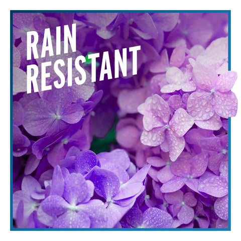 Purple flowers with text 'Rain Resistant' promoting Deer And Rabbit Repellent 2 Pack Ready To Use Gallon Rain Resistant Spray For Gardens