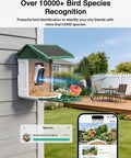 Solar Powered Bird Feeder With Camera, 2K Live Feed, Smart AI Bird Recognition, 2L Seed Capacity, installed on house wall.