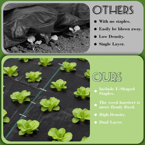 Comparison of garden beds with and without 4 by 50 ft weed barrier landscape fabric with 20 U shaped stakes heavy duty 3.2 oz ground cover.
