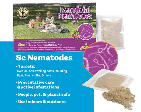 Packaging of 50 Million Live Beneficial Nematodes For Flea And Fly Extermination, shows nematode powder packs and usage details.