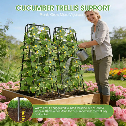 Heavy Duty Cucumber Trellis With Adjustable 17 To 50 Inch A Frame in raised garden bed, supporting climbing plants, woman watering