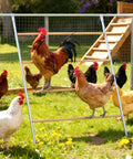 Chickens on large chicken roosting bars for coop 55 inch perch with sturdy metal frame, easy to clean roost ladder for hens.