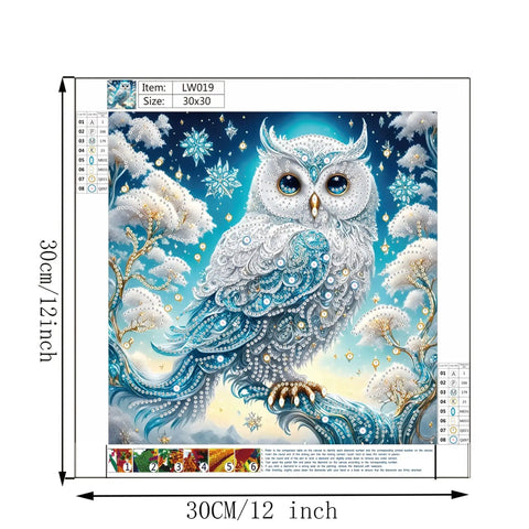 Beginner Friendly 5D Partial Diamond Painting Kit Owl Design With Special Shaped Crystals, frameless 12x12 inch mosaic art