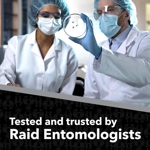 Scientists examining insects for Spider And Scorpion Killer Spray For Indoor And Outdoor Use. Tested and trusted by experts.