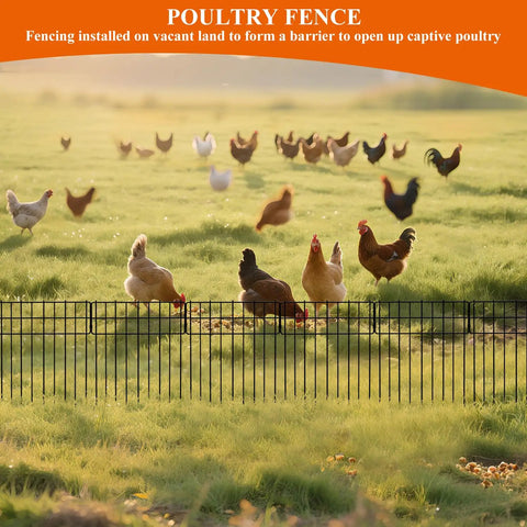 No Dig Garden Border Fencing Kit With 6 Black Metal Panels 12 By 16 Inches Decorative Fence Barrier in a field with chickens