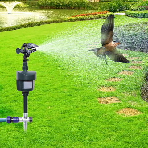 Rock Solid Motion Activated Yard Sprinkler With Adjustable 360 Spray Head spraying water in lawn with a bird flying nearby.