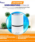 2 Pack Replacement Filter For Levoit LV-H132 Air Purifier, H13 True HEPA 3 In 1 Filtration With Activated Carbon, Product Display
