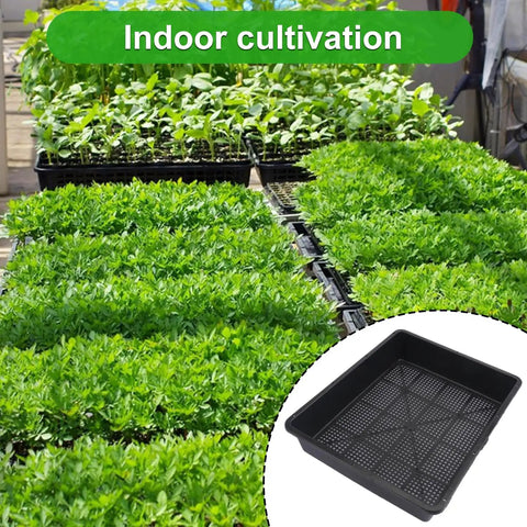 15 X 12 Inch Seed Starter Trays With Mesh Bottom For Germination Microgreens Sprouts Hydroponics And Wheatgrass 16 Pack Garden Grow Trays Kit For At Home Gardeners