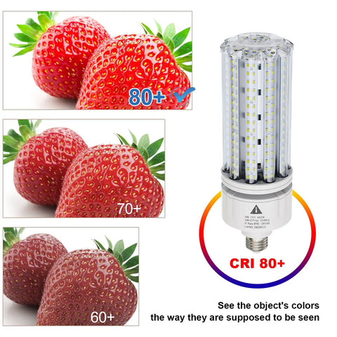 Ultra Bright 100W LED Corn Light Bulb 15000 Lumens 5000K with CRI 80+ showcasing bright strawberries comparison