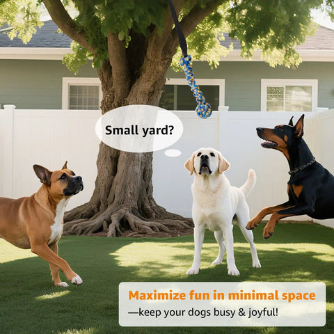 Outdoor Bungee Tug Toy For Dogs Tree Hanging Rope Tug Interactive Chew Rope Adjustable Height Backyard Play in action
