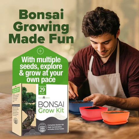 Man using Six Heirloom Bonsai Varieties Kit With Unique Pots DIY Indoor Bonsai Starter Set For Adults And Beginners Totally Giftable.